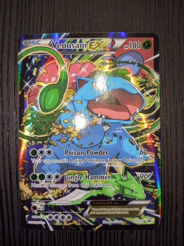 Venusaur xy123 full - xy123, art
