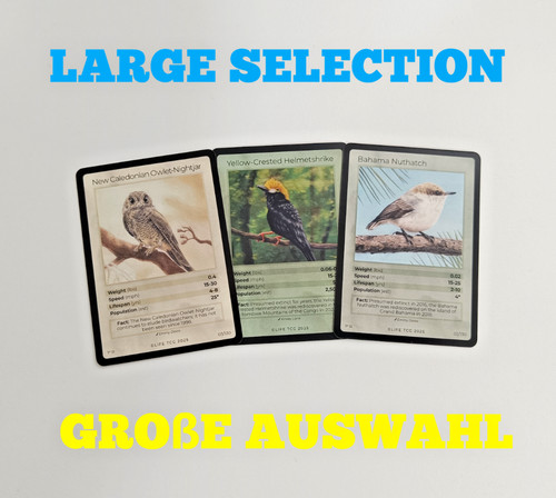 Aggiornato life tcg - *aggiornato*,