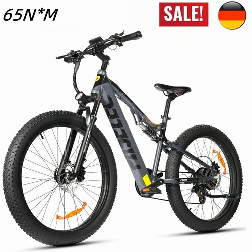 Mtb 16ah pedelec - 16ah,