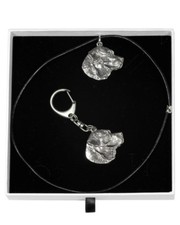 Labrador Retriever - Set - Il