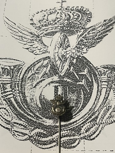 Spilla giacca distintivo - spilla,