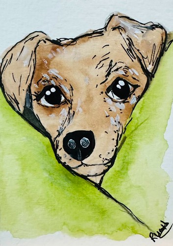 Originale aceo simpatico - aceo,