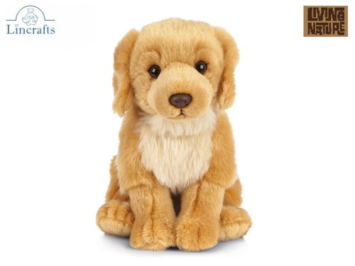 Peluche cucciolo golden - cucciolo,
