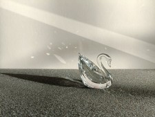 Cigno piccolo - Swarovski