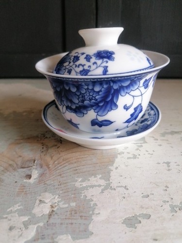 Gaiwan tazzina porcellana con - porcellana,