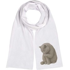 'British Shorthair Cat Lecking