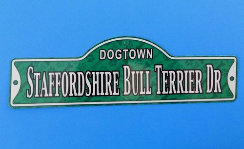 Dogtown staffordshire bull - dogtown,
