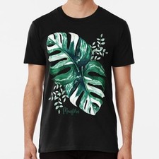 Monstera Variegated Deliciosa
