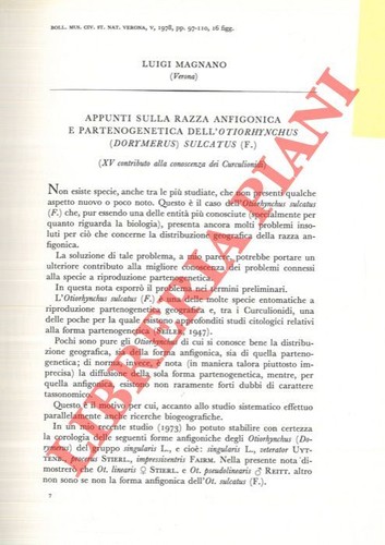 Magnano luigi appunti sulla - luigi,