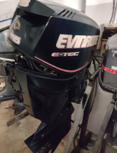 Evinrude etec 115 - etec,