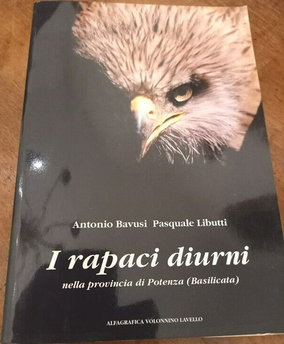 Rapaci diurni nella - rapaci,