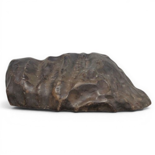 Pietra suiseki veduta naturale - suiseki,