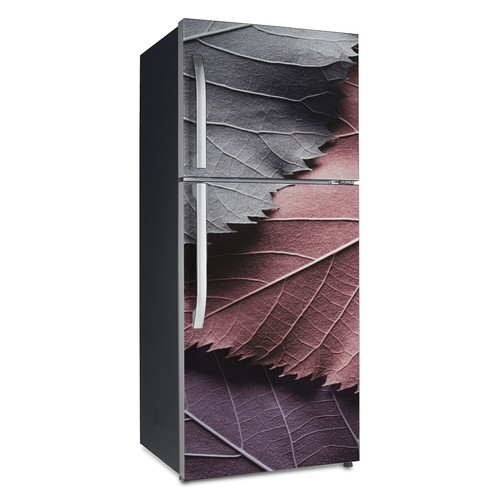 Calamite frigo magnete adesivo