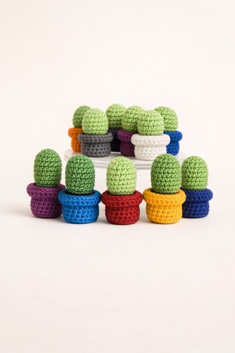 Bomboniere cactus amigurumi - bomboniere,