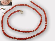 Women's REAL Red Coral and