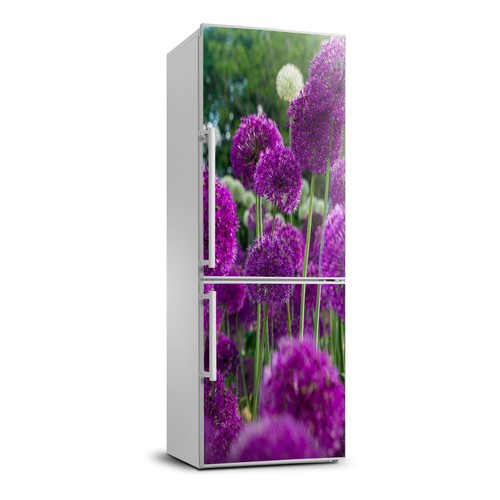 Adesivo art congelatore - adesivo, 3d
