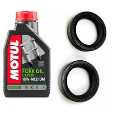 Kit revisione forcella paraoli - kit,