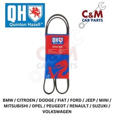 CINGHIA TRASMISSIONE