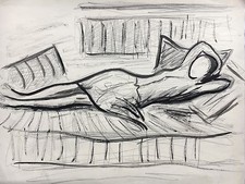 Donna Sdraiata Su Una Sdraio -