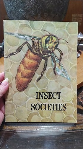Insect societies 1940s - societies".,