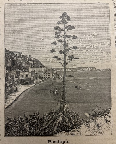 Campania napoli posillipo - campania, napoli.