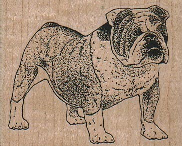 Timbro gomma bulldog - in,