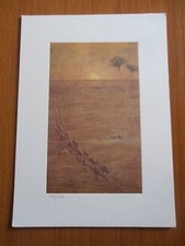 LA CAROVANIERA DEL DESERTO