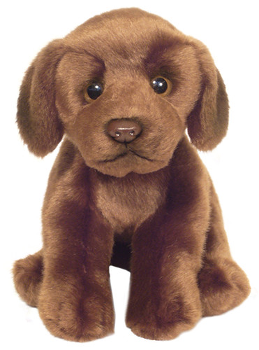 Peluche labrador cioccolato - peluche,