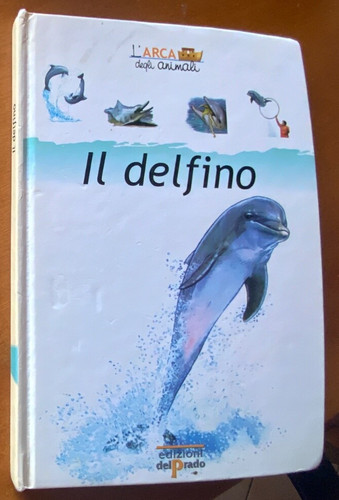 Delfino acrobata - delfino,