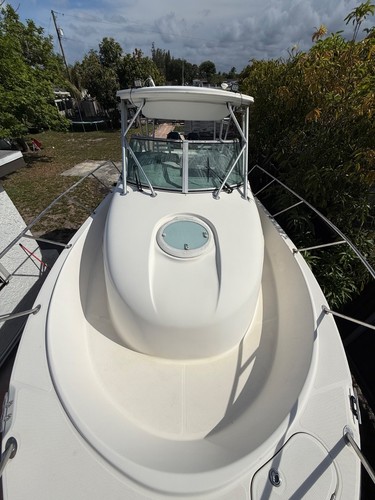 2005 trophy 2902 walkaround - trophy,