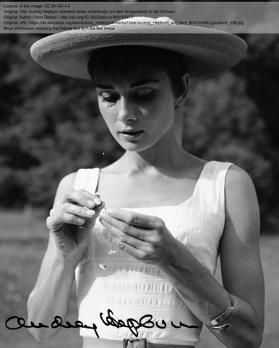 Autografo repro audrey - repro,