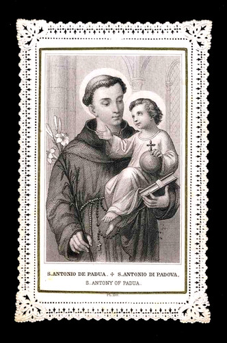 Santino merlettato - (122332),