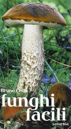 Libri bruno cetto funghi - cetto,