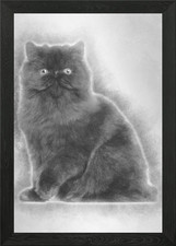 Ritratto di gatto persiano 7