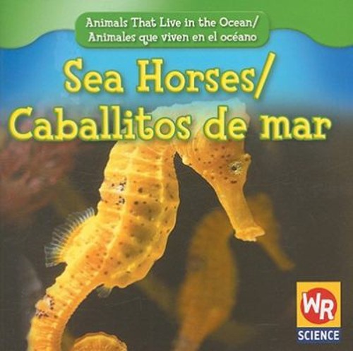Sea horses caballitos de mar - /,