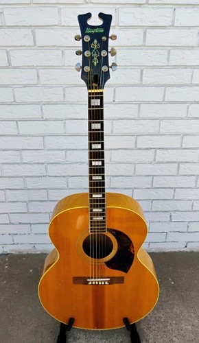 Harptone 6nc chitarra - harptone, rs-6nc