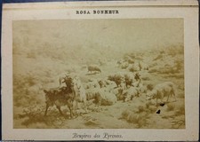 Rosa Bonheur - Bruyères Des