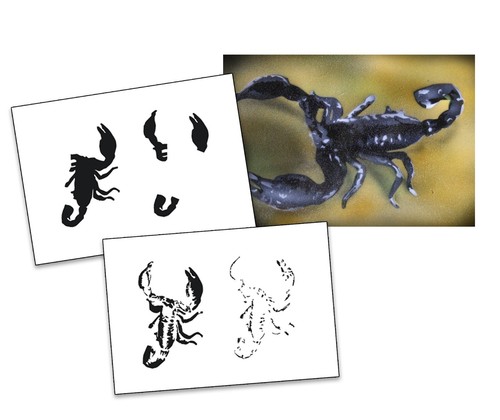 017 scorpion step - scorpion, by