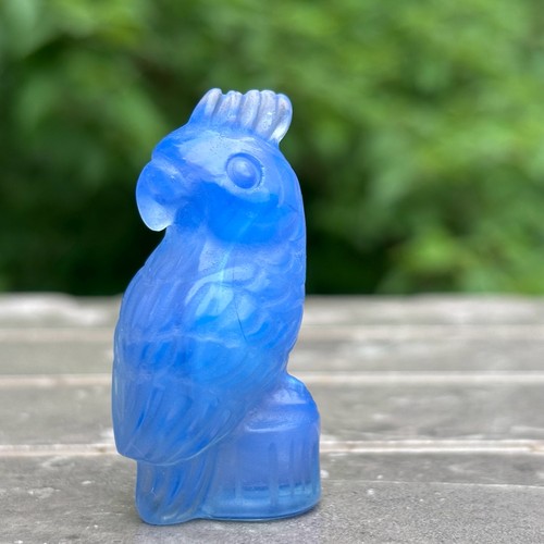 Teschio pappagallo opalite blu