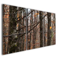 Modern Canvas Paintings Folie