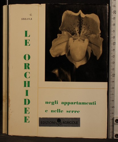 Orchidee negli appartamenti - le,