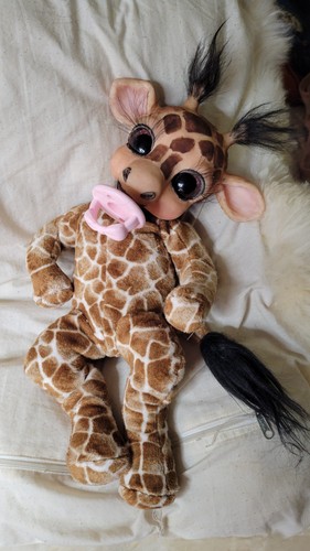 Gabby coccola giraffa - , in
