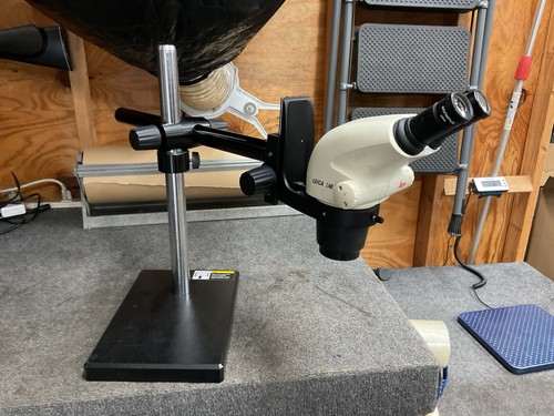 Leica s4e microscopio - microscopio, stereo