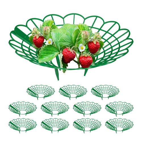 Anelli supporto rete fragole - anelli,