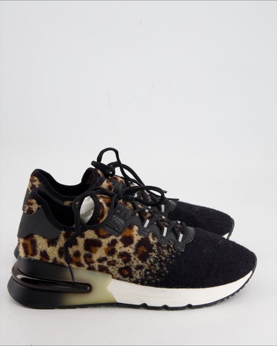 Scarpe ginnastica ash - ginnastica, lana
