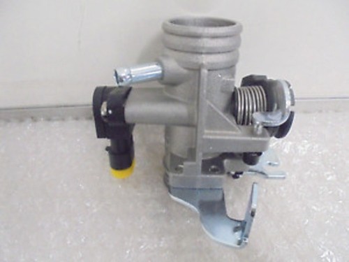 1a007685 corpo farfalla - corpo,