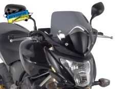 Cupolino Fumé GIVI + Viti