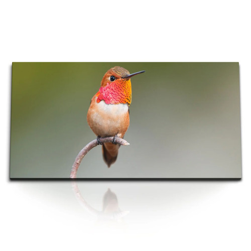 Quadri stampa artistica - , 120x80