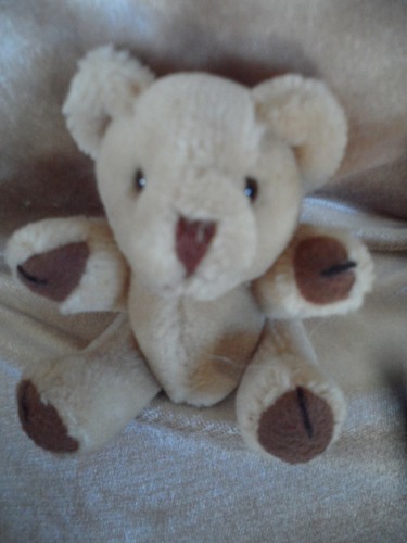 Peluche orsacchiotto