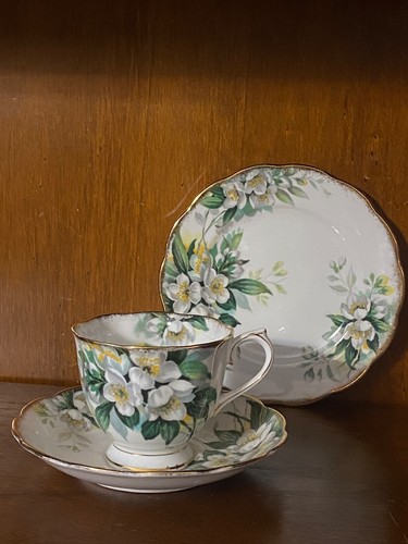 Tazze royal albert - royal,